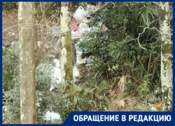  В Сочи мужчина КАМАЗами тащит мусор со свалок под окна, а власти потом его вывозят