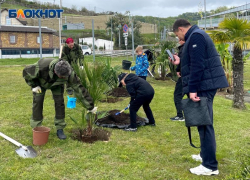 В Сочи высадили аллею пальм в честь 80-летия аэропорта