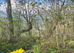 Доброе утро, Сочи