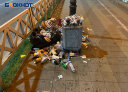 Пока администрация Сочи думает о конкурсе, отдыхающие любуются мусорными свалками на центральных улицах