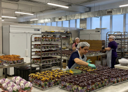 1000 куличей отправили из Сочи в зону СВО