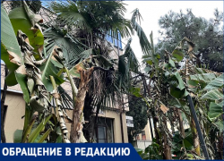 «Место для выкачки денег»: житель Сочи резко высказался о работе местных властей