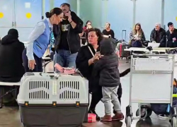  Вылет 48 рейсов задерживается из аэропорта Сочи