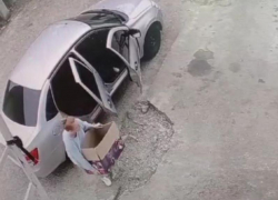 В Сочи к магазину подкинули коробку с тремя щенками