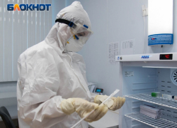 Жителей Абхазии, у которых есть гражданство РФ, будут бесплатно лечить в России