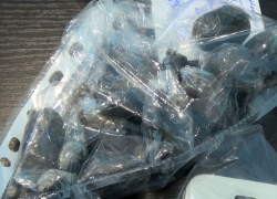 Более полукилограмма наркотиков изъяли у приезжего в Сочи