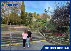 В конце ноября на улицах Сочи тепло и ярко, как летом