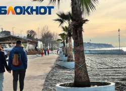 33 зимних пляжа готовы к открытию в Сочи 