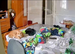 Землетрясение магнитудой 4,5 в Сочи попало на видео