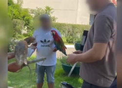 В Сочи сотрудники полиции начали активно бороться с фотографами-живодёрами 