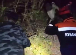 Пожилая пара отправилась за грибами и заблудилась в ночном лесу Сочи