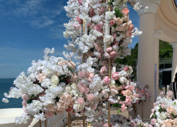 Свадебный провал в Ротонде 