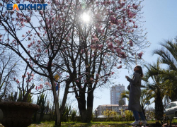 Названа средняя стоимость ночи в отелях Сочи в апреле