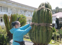 "Дендрарий" :  весна опять пришла...