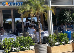 В Сочи за просьбу не курить в кафе, девушка бросила окурок в еду