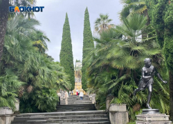 115 лет в этом году исполнилось символам Дендрария Сочи: вечнозеленым пирамидальным кипарисам