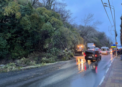 В Сочи на дорогу сошел сель