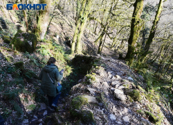 156 миллионов рублей возместило СНТ «Меркурий» за вред природе Сочи