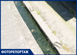 «Мухи, вонь и полная антисанитария»: жительница Сочи пожаловалась на изливы канализации 