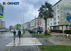 В Сириусе хотят ввести платный проезд по дорогам