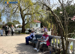 На жуткую вонь жалуются жители нескольких районов Сочи