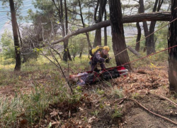 Россиянка упала с обрыва во время отдыха в Сочи