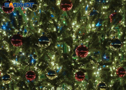 За один день администрация Сочи разыграла контракт на покупку елки и украшений за 3 миллиона рублей