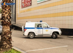 Аниматор в костюме тигра домогался до девушки в центре Сочи