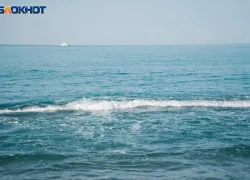 Двое суток пассажиры парома «Трабзон-Сочи» будут куковать в порту Турции 