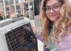 Участница Всемирного фестиваля забрала собаку из приюта в Сочи