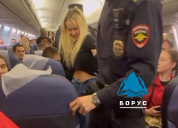 Пьяная жительница Сочи устроила дебош в самолёте