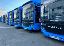 25 новых автобусов начнут курсировать в Сочи 
