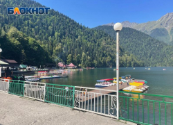 На 46 миллионов сократилась выручка Рицинского нацпарка Абхазии из-за уменьшения количества туристов