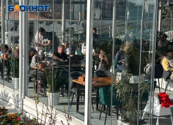 Мясо неизвестного происхождения выявили у 26 предприятий Сочи