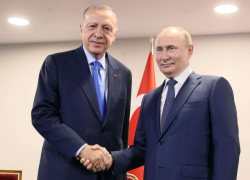 Президенты России и Турции запланировали встречу в Сочи 