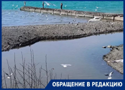 Жители Сочи жалуются, что на Мамайке канализация попадает в реку, а потом в Чёрное море
