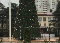 Главную новогоднюю елку нарядили в Сочи