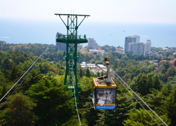 В Дендрарии закрыли канатную дорогу