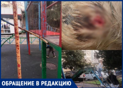 Малыши калечатся, власти пишут отписки: родители микрорайона Сочи много лет не могут добиться ремонта детской площадки