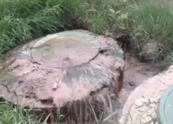 «Дермище впадает в море»: элитный ЖК продолжает заливать фекалиями Сочи