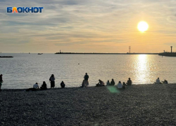  6,8 миллионов рублей потеряла компания из-за незашедшего парома в Сочи