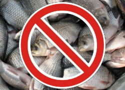 Нерест! Ловля рыбы запрещена