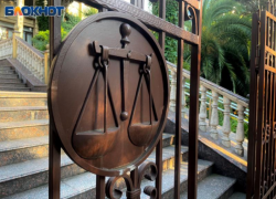 Суд приостановил миллиардный иск Минприроды к «Сочинеруду» из-за уголовного дела