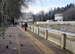 Четыре зоны Сочи получат статус особо охраняемых