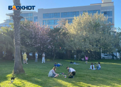 На благоустройство сквера около морвокзала в Сочи хотят потратить 80 миллионов 