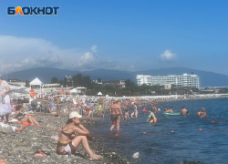 Сколько будет стоить отдых в отелях Сочи по системе «всё включено»?