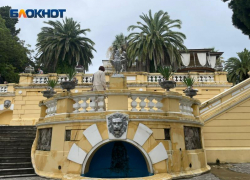 Сочинский Дендрарий вошел в топ-3 парков страны