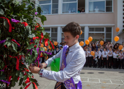 Школы в Сочи проверят на безопасность 