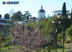 Украинские БПЛА пытаются атаковать Сочи прямо средь бела дня