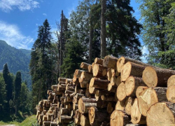 В Сочи стартовало строительство нового горнолыжного курорта